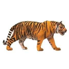 BENGÁLI TIGRIS