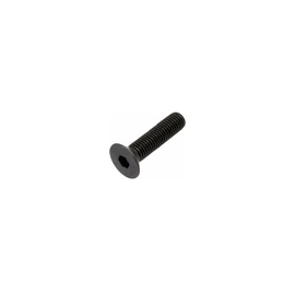 SF.BKNY 12*60 CSAVAR NATUR 10.9